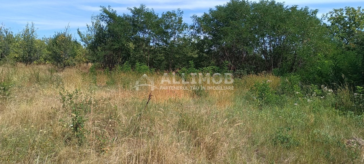 Teren 900 mp  intravilan in Dumbravesti, la 20 minute de Ploiesti