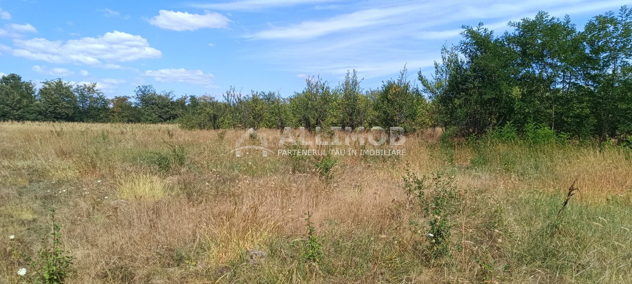 Teren 900 mp  intravilan in Dumbravesti, la 20 minute de Ploiesti