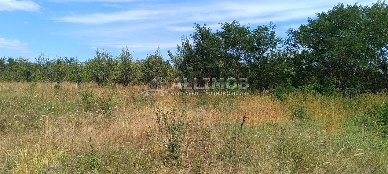 Teren 900 mp  intravilan in Dumbravesti, la 20 minute de Ploiesti