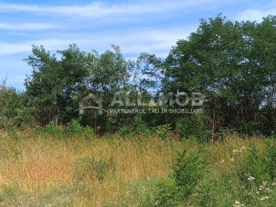 Teren 900 mp  intravilan in Dumbravesti, la 20 minute de Ploiesti