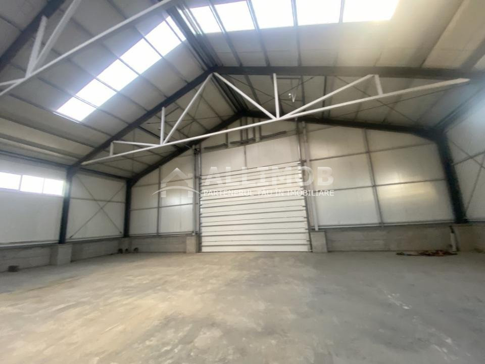 Hall 600 sqm and platform 3500 sqm in Ploiestiori