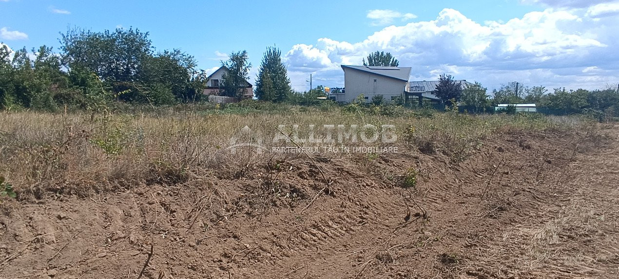 Oportunitate imobiliara, teren 5600 mp in Baicoi, zona Liliesti. 